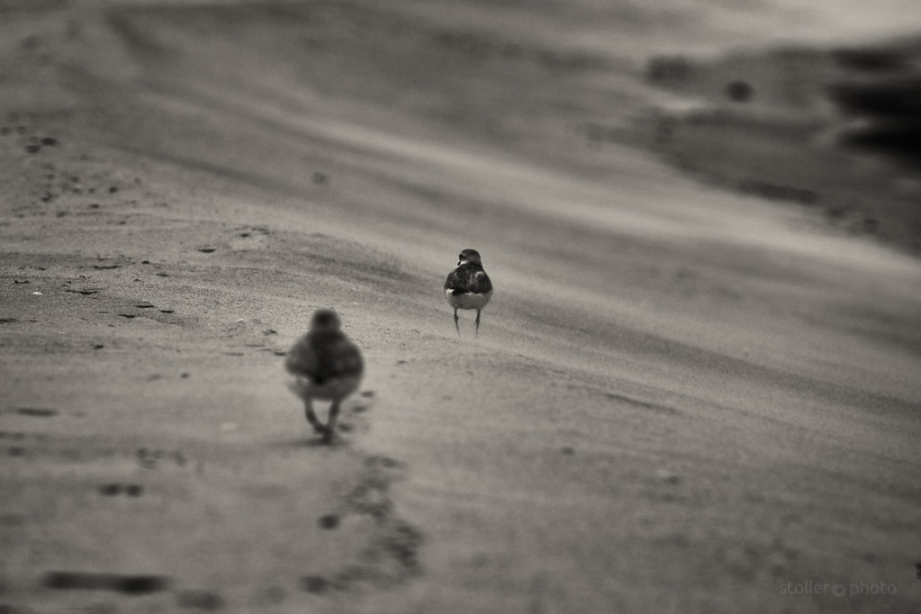 dünenspaziergang