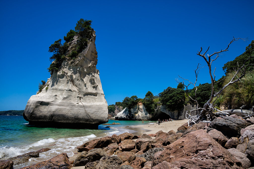 Cathedral Cove